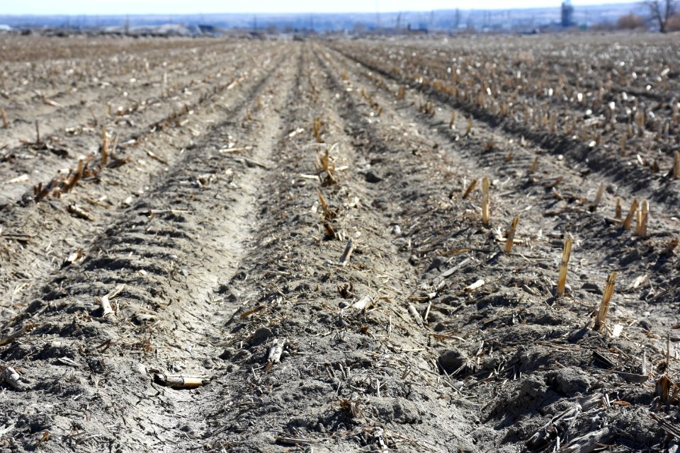 conservationtillage22