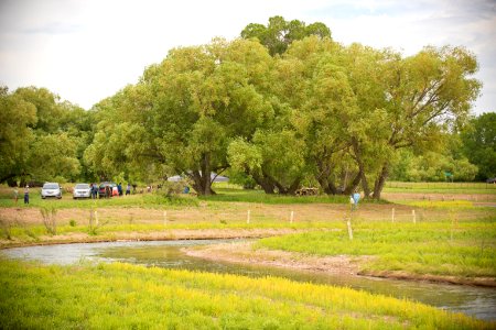4617 NRCS projects