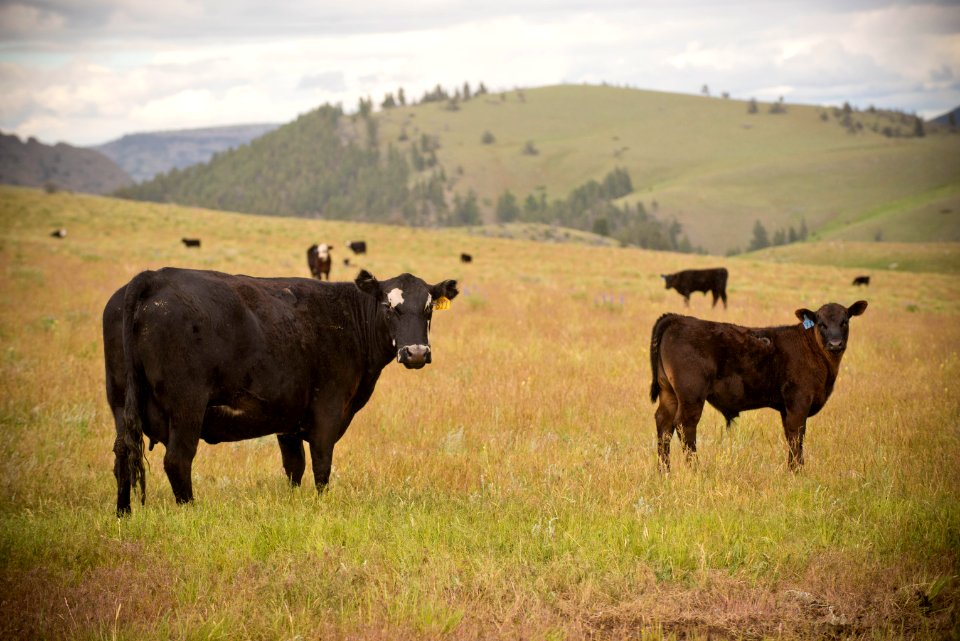 3461 NRCS projects