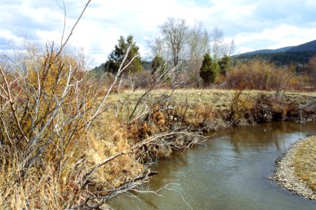 Riparian46.tif photo