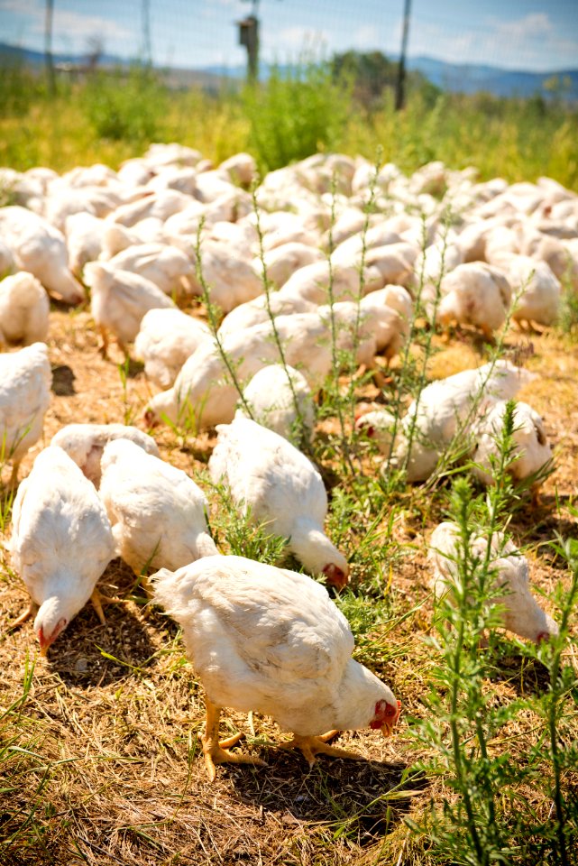 1941 NRCS projects
