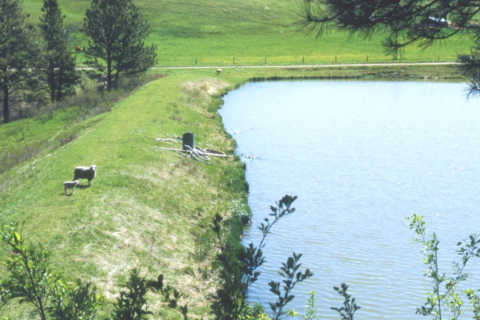 Watersheds10.tif