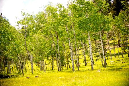 1060 NRCS projects