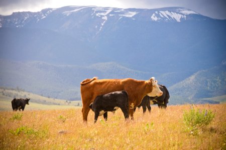 3502 NRCS projects