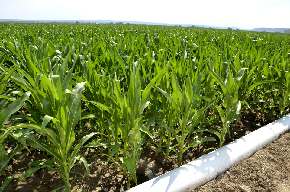 conservationtillage143