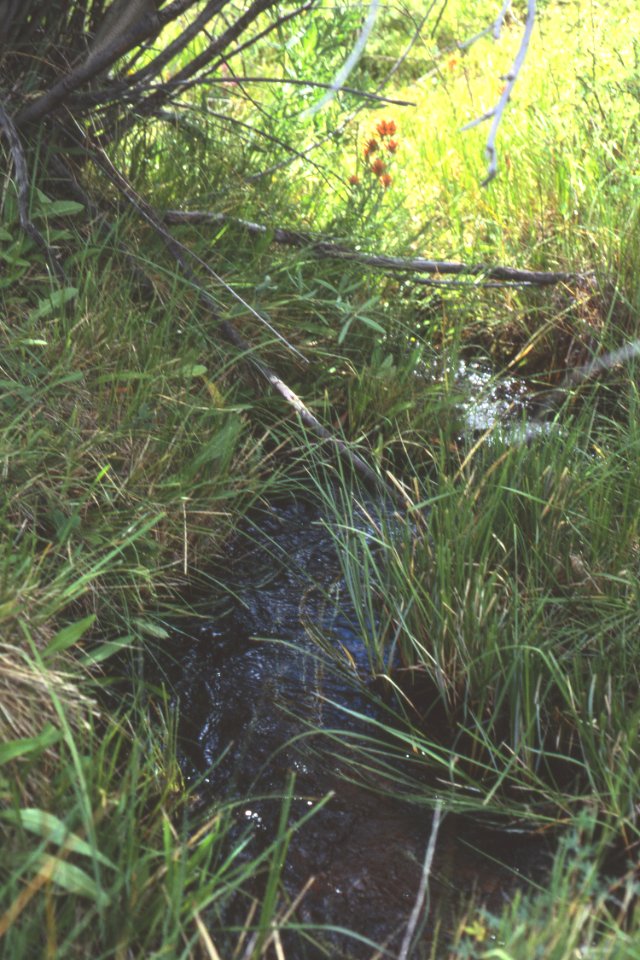 Water14.tif