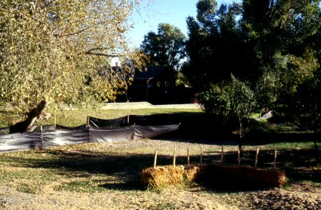 Natural Disasters47.tif