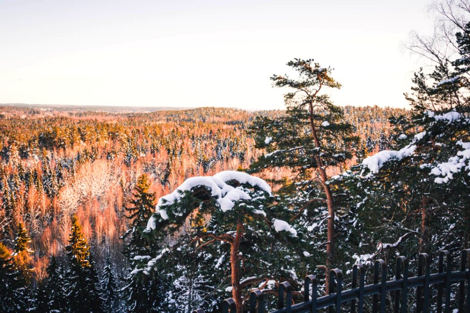 Aulanko, Hämeenlinna, Finland