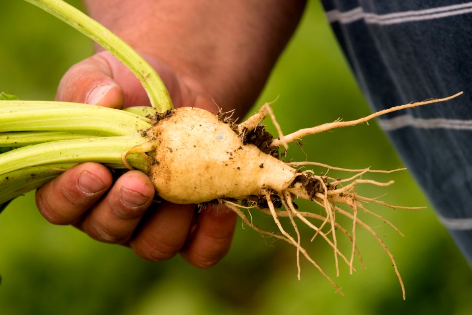 4175 NRCS projects