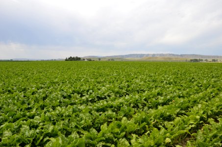 conservationtillage144