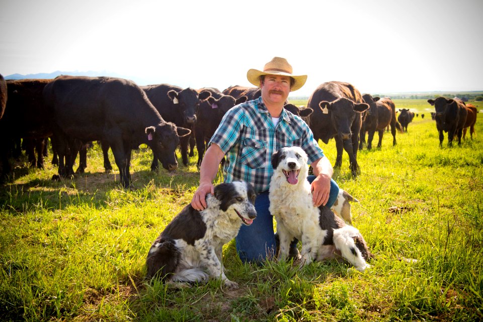 1262 NRCS projects