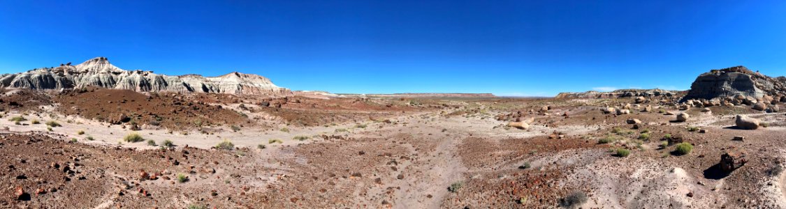 Petrified Forest NP in AZ