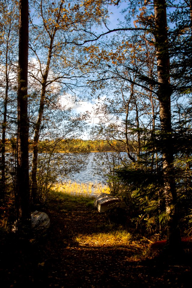 Pääjärvi, Härkätie, Finland
