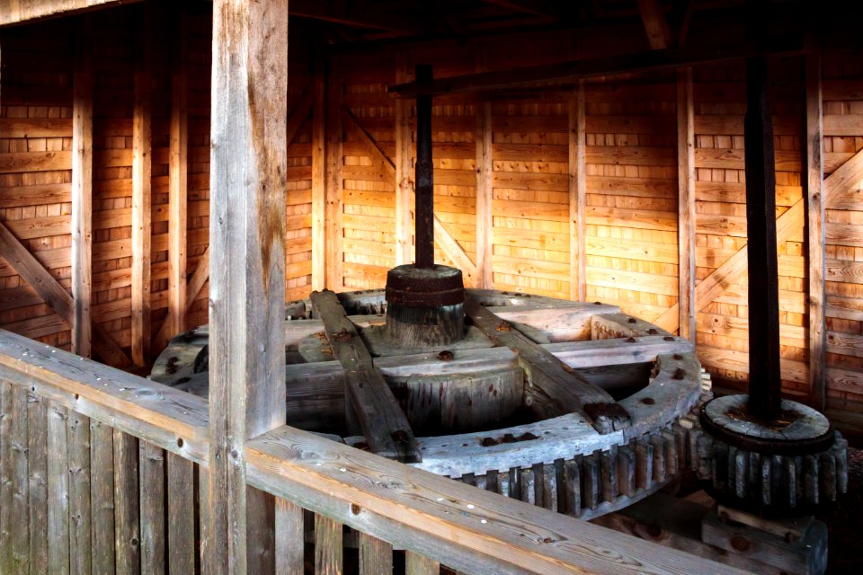 Saaren kansanpuisto, Tammela, Finland