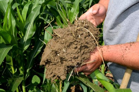 conservationtillage179