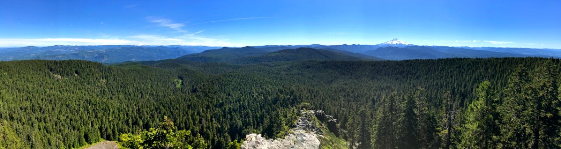 Larch Mountain at Columbia River Gorge in OR