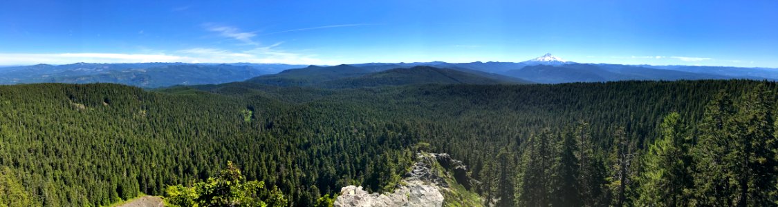 Larch Mountain at Columbia River Gorge in OR photo