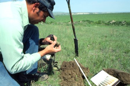 Soil Survey62.tif photo