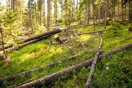 1124 NRCS projects