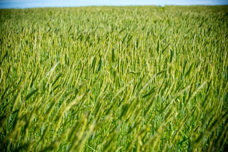 5057 NRCS projects