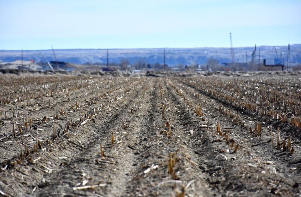 conservationtillage26