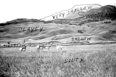 Soil Survey83.tif