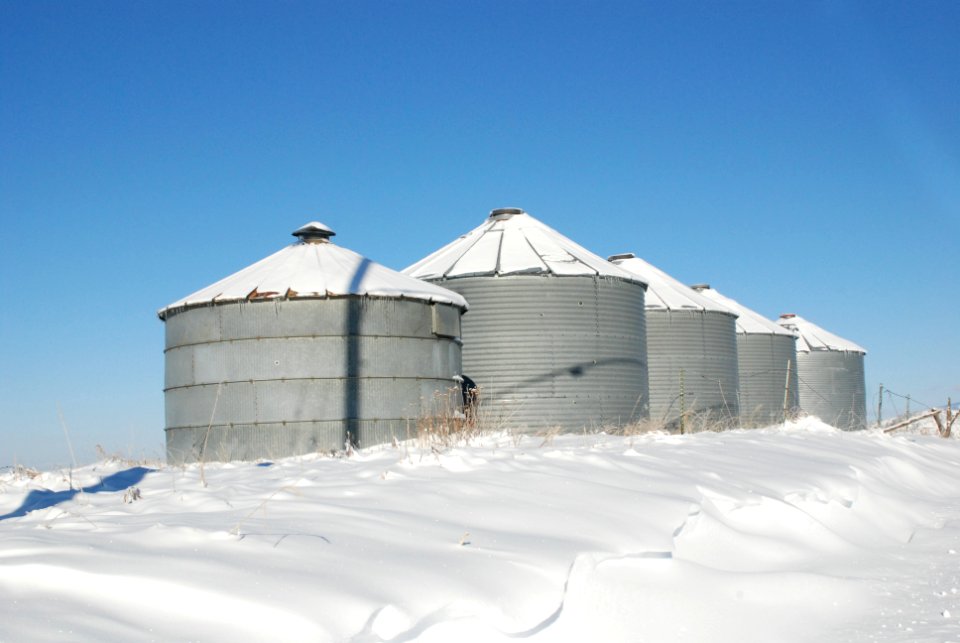 Snow017