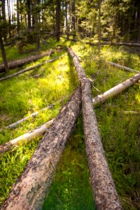 1128 NRCS projects