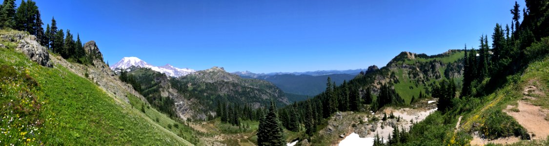 Mt. Rainier at Tatoosh Wilderness in WA