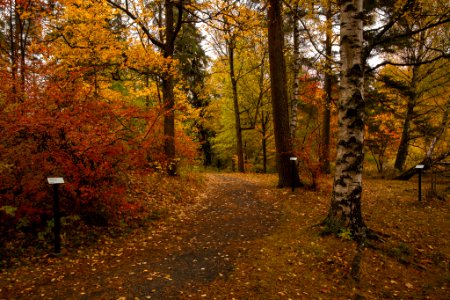 Aulanko, Hämeenlinna, Finland.