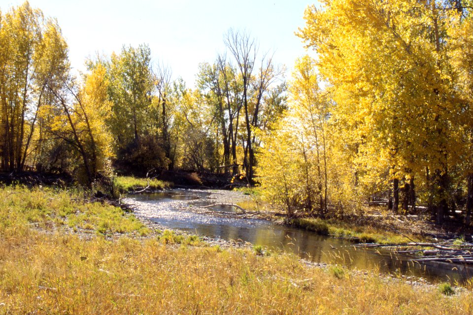 Riparian03.tif