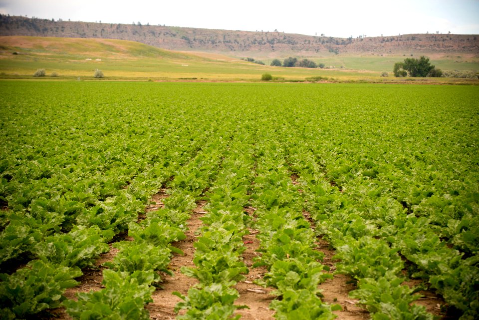 4170 NRCS projects