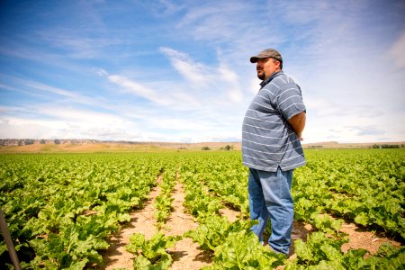 4195 NRCS projects