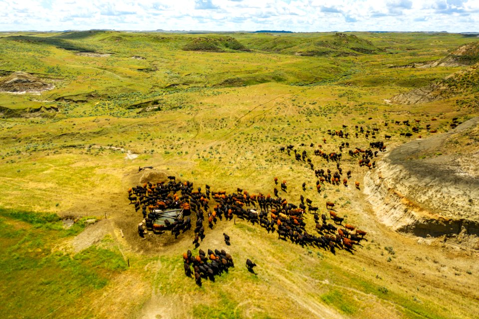 Jgibson Day9 0022 DJI 0965