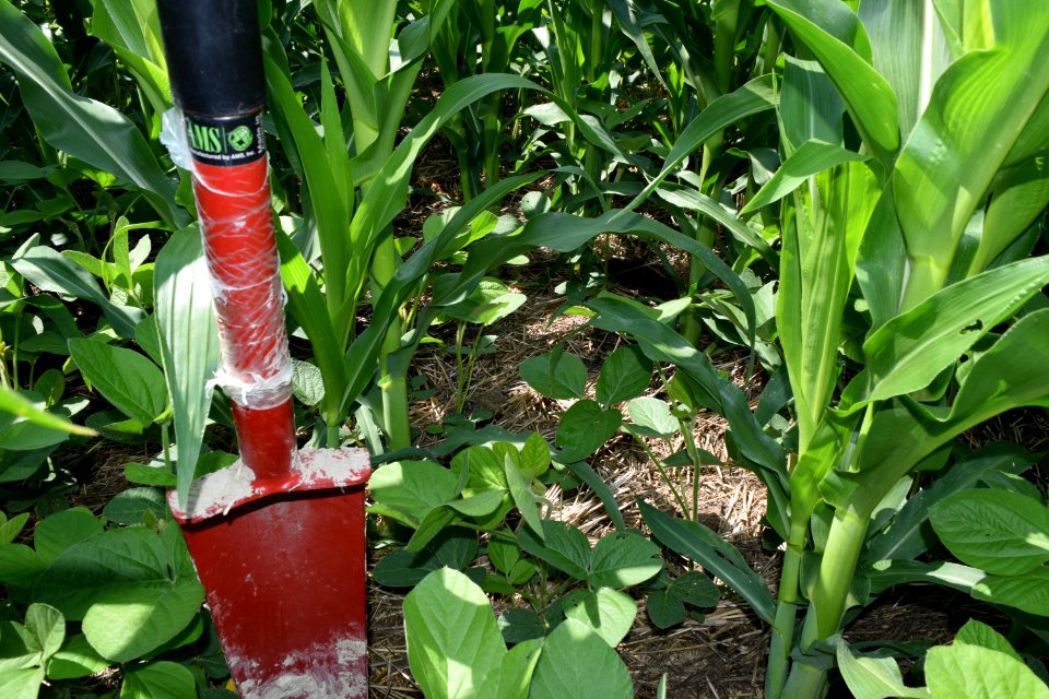 conservationtillage184