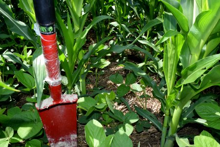 conservationtillage184