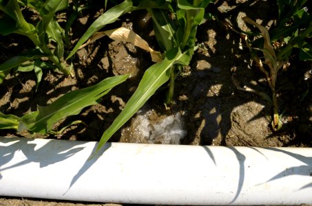 irrigation99