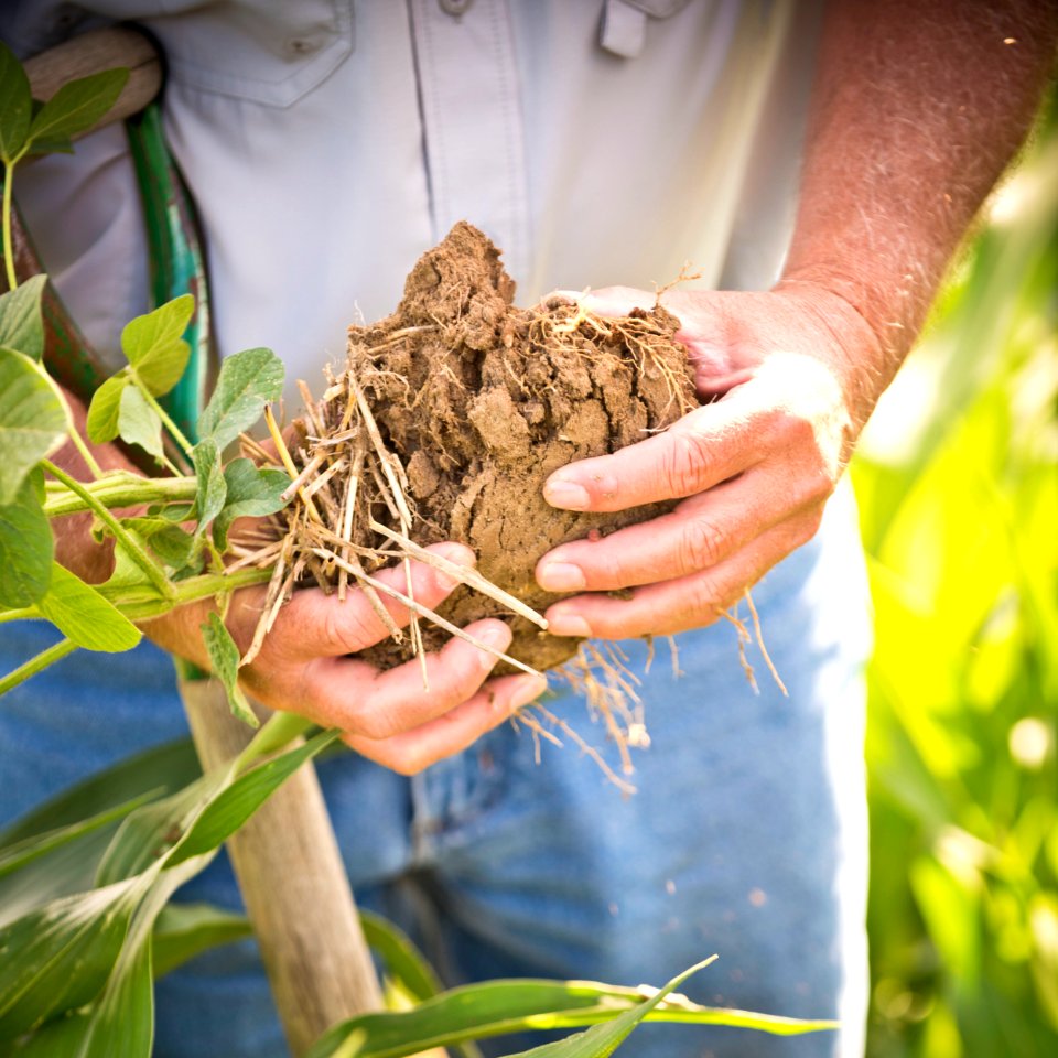 6589 NRCS projects.jpg