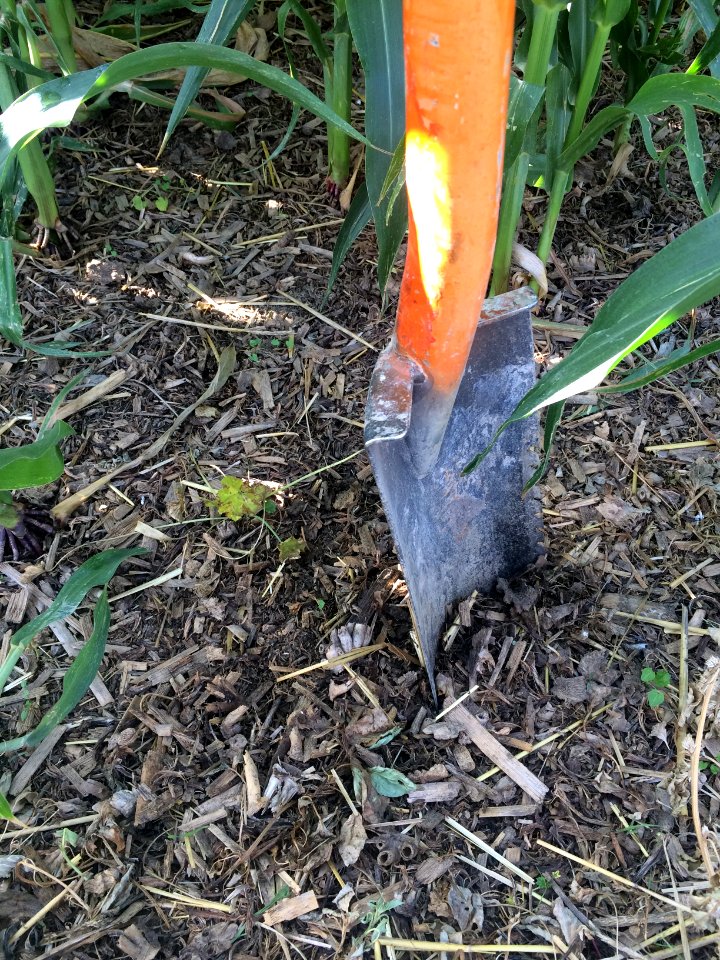 conservationtillage188