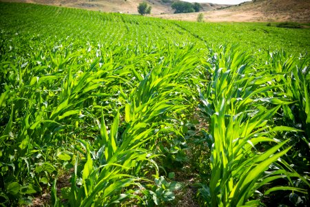 6549 NRCS projects.jpg