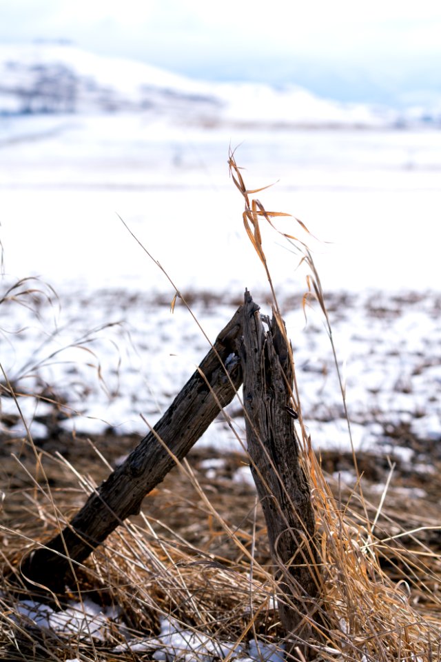 JGIBSON NRCS  DSC1130