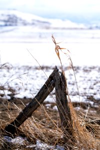 JGIBSON NRCS  DSC1130