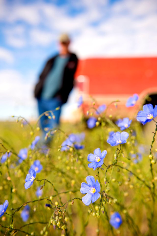 5007 NRCS projects