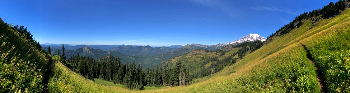 Mt. Rainier at Tatoosh Wilderness in WA