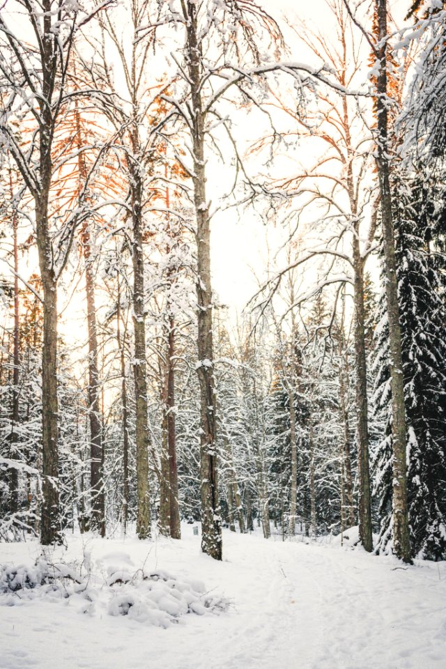 Aulanko, Hämeenlinna, Finland