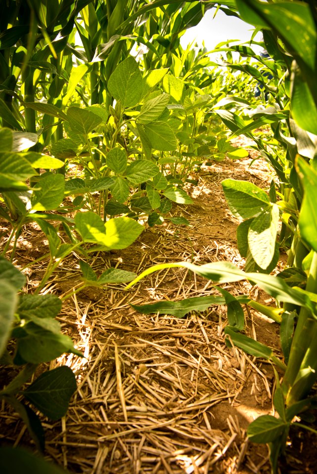 6675 NRCS projects.jpg