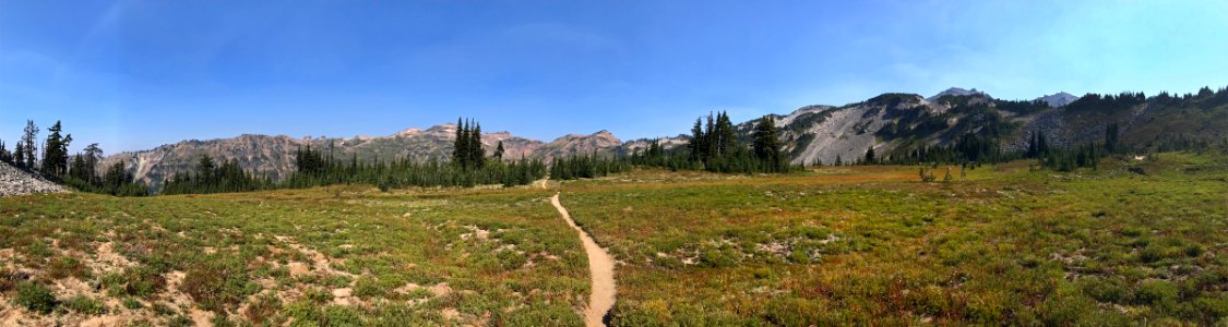 Goat Rocks Wilderness in WA