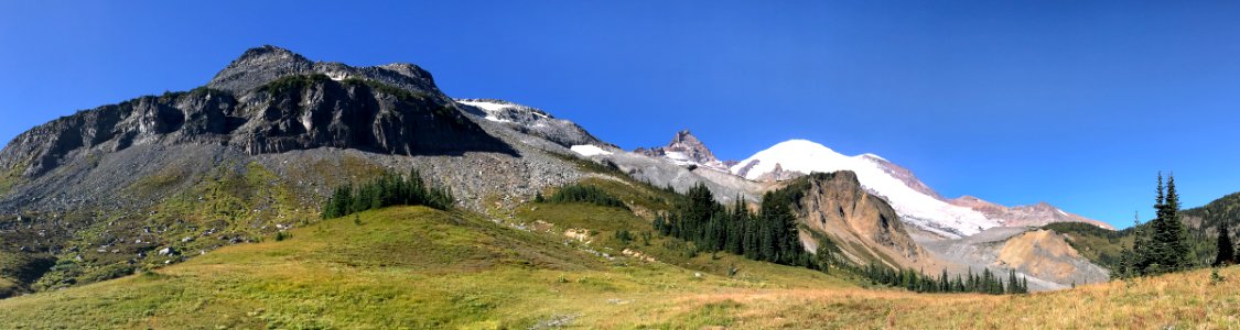 Summerland at Mt. Rainier NP in WA