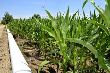 conservationtillage140