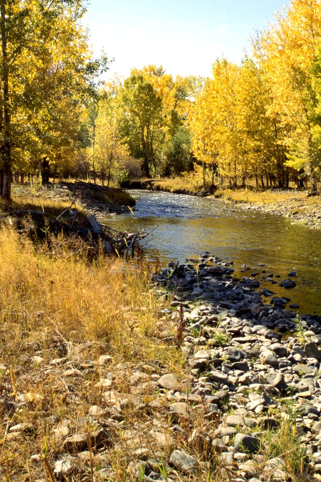 Riparian04.tif